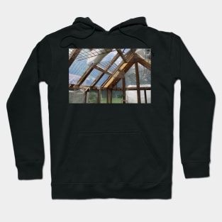 Inside of a Greenhouse Hoodie